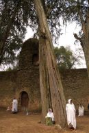 Ethioptrek (102) (Small)